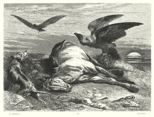 लॉर्ड बायरन के चाइल्ड हेरोल्ड, कैंटो I, स्टांजा 88 (उत्कीर्णन) द्वारा रिचर्ड (बाद) Ansdell
