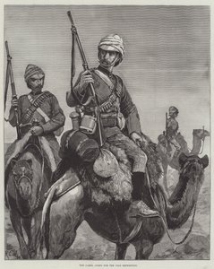 नील अभियान के लिए ऊंट कोर