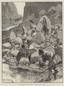 हर्जेगोविना में विद्रोह, एक एम्बुसेड