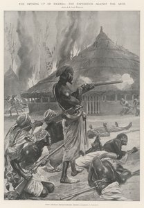नाइजीरिया के उद्घाटन, एरोस के खिलाफ अभियान