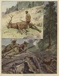 उत्तरी अमेरिका में वैप्टी शिकार