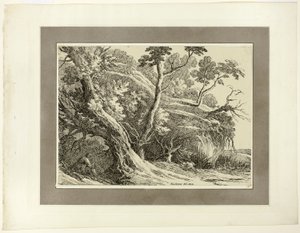  द्वारा रिचर्ड कूपर II