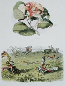 ए डांसिंग बटरफ्लाई, और टूर्नामेंट, विलियम ऑलिंगम और एंड्रयू लैंग (कलर लिथो) द्वारा 'इन फेयरीलैंड: ए सीरीज़ ऑफ़ पिक्चर्स फ्रॉम द एल्फ-वर्ल्ड' के चित्र। द्वारा रिचर्ड डॉयल