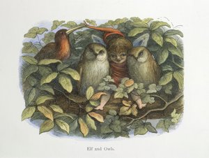 एल्फ और उल्लू द्वारा रिचर्ड डॉयल