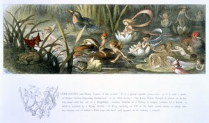 जल-लिली और जल परियों, विलियम एलिंघम और एंड्रयू लैंग द्वारा &39;इन फेयरीलैंड: ए सीरीज ऑफ द एल्फ-वर्ल्ड&39; से चित्रण द्वारा रिचर्ड डॉयल