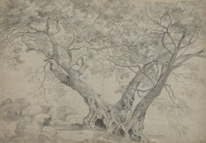  द्वारा रिचर्ड विल्सन