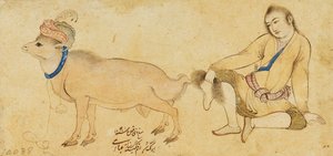 एक युवा और एक राम का अध्ययन, 1630-31 या बाद में