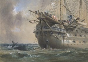 HMS Agamemnon 1858 में अटलांटिक टेलीग्राफ केबल बिछाना: एक व्हेल रेखा को पार करती है, 1865-66।
