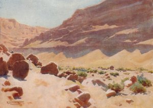 मोकट्टम हिल्स में एक वाडी, c1880, 1904