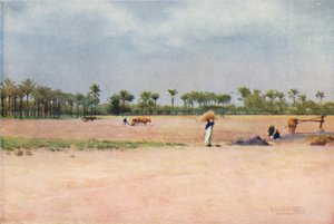 एसबेट-एल-इकिड - गोशेन की भूमि, c1880, 1904