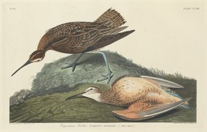 कर्ल्यू एस्किमोस, 1834। द्वारा रॉबर्ट हेवेल