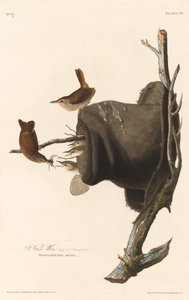 हाउस रेन, 1830। द्वारा रॉबर्ट हेवेल