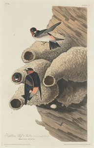 रिपब्लिकन क्लिफ निगल, 1829। द्वारा रॉबर्ट हेवेल