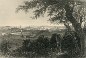ड्र्यूड हिल पार्क से बाल्टीमोर शहर, 1874।