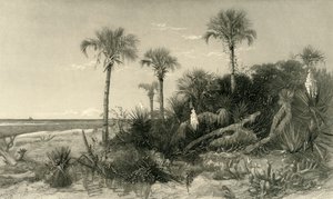 फ्लोरिडा के तट पर, 1872।