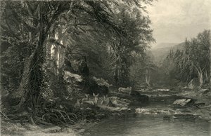 द एडिरोंडैक वुड्स, 1874।