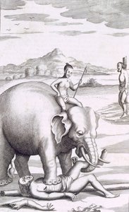 एक हाथी, पब द्वारा निष्पादन। 1681. द्वारा रॉबर्ट नॉक्स