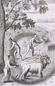 द्वीप सीलोन के एक ऐतिहासिक संबंध, पब से, अपने चावल को फैलाने का तरीका। 1681 उत्कीर्णन द्वारा रॉबर्ट नॉक्स