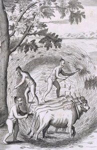 उनके चावल, पब को फैलाने का तरीका। 1681. द्वारा रॉबर्ट नॉक्स