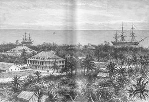 पपीते, ताहिती में क्वींस पैलेस, c1885, 1890