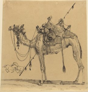 ऊंट द्वारा रोडोलफे ब्रेज़िन