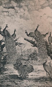 मोर, 1869, 1946 द्वारा रोडोलफे ब्रेज़िन