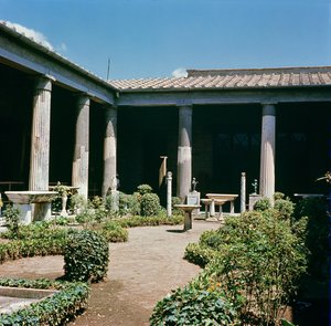 द एट्रियम, हाउस ऑफ द वेट्टी द्वारा उपन्यास