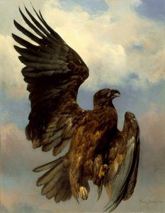 घायल ईगल, c.1870