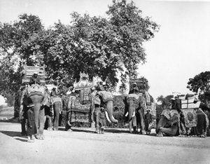 महामहिम वायसराय के हाथियों का एक समूह और उनके राज्य ट्रेपिंग, c.1860s द्वारा सैमुअल बॉर्न