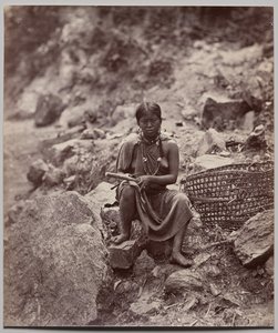  द्वारा सैमुअल बॉर्न