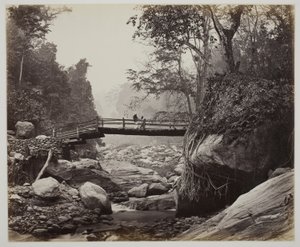  द्वारा सैमुअल बॉर्न