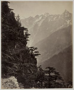 शीर्षकहीन [पहाड़ी और पहाड़], सी. 1865. द्वारा सैमुअल बॉर्न