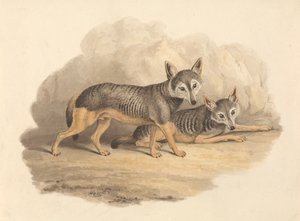  द्वारा सैमुअल हॉविट
