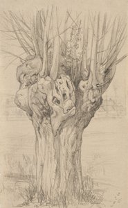 पेड़ पर चढ़ा हुआ पेड़, 1884 (बफ़े पर रखे गए कागज पर ग्रेफाइट)