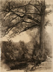 बड़े पेड़ के साथ लैंडस्केप, 1884 (शौकीन कागज पर लकड़ी का कोयला)