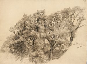 पेड़ों के साथ लैंडस्केप, 1884 (शौकीन कागज पर लकड़ी का कोयला)