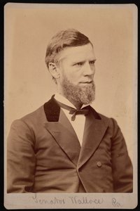 विलियम एंड्रयू वालेस का पोर्ट्रेट 1827-1896, 1876 और 1880 के बीच।