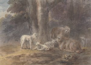  द्वारा सव्रे गिलपिन