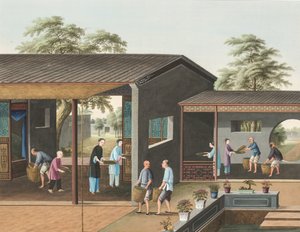  द्वारा स्कूल चीनी