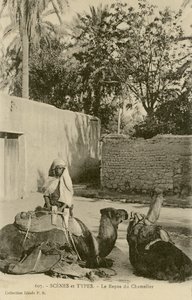 ले रेपोस डु चामेलियर, c.1890-1914 (बी / डब्ल्यू फोटो) द्वारा स्कूल फ्रेंच