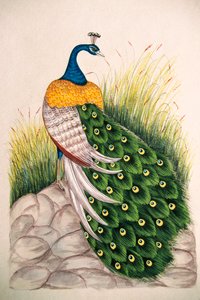  द्वारा स्कूल इंडियन