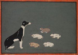  द्वारा स्कूल मुगल