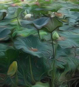 लिली तालाब1 द्वारा स्कॉट जे डेविस