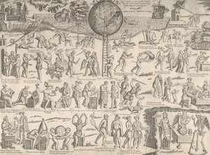 मूर्खों का पिंजरा मूर्खों का पिंजरा, 1557-63। द्वारा सेबस्टियानो डि रे