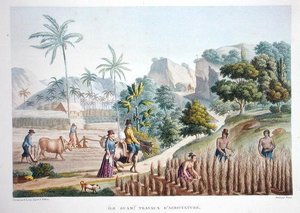 फ़ार्म वर्कर्स, गुआम, फ़िलिपींस, 'वॉयेज ऑटोर डू मोंडे (1817-20)' से लुई क्लाउड डेसौल्स डी फ़्रीसिनेट (1779-1842) द्वारा पोमेल द्वारा उकेरा गया, 1822-24 (कलर लिथो) में प्रकाशित हुआ। द्वारा सेबेस्टियन (डी.1832) (बाद में) लेरॉय