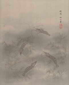 Shrimp Ebi, ca. 1890-92. 
