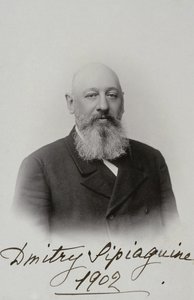 दिमित्री सर्गेयेविच सिपयागिन का पोर्ट्रेट 1853-1902, 1902