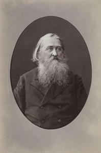 कवि अलेक्सी निकोलेयेविच प्लाशेचेयेव का चित्र 1825-1893, 1870
