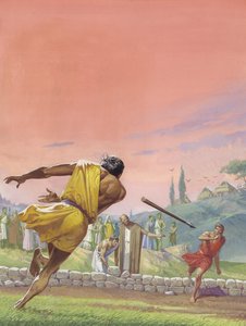  द्वारा सेवेरिनो बाराल्डी