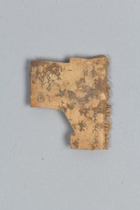 दिव्य हड्डी का टुकड़ा (खोल) द्वारा शांग राजवंश चीनी स्कूल